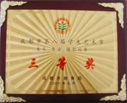 我校榮獲成都市第八屆學生藝術(shù)節(jié)美術(shù)、書法比賽三等獎