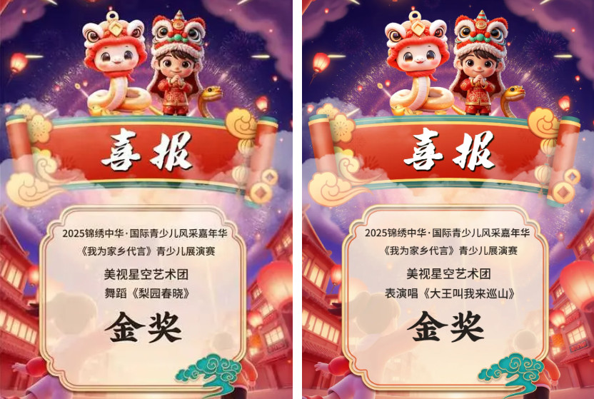 美視星空藝術團斬獲雙金獎丨榮耀綻放，逐夢前行